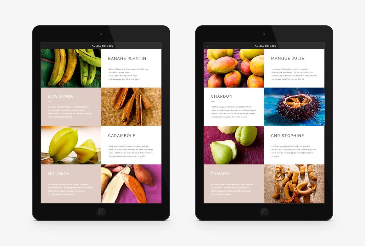 Lexicon webdesign of Amélia Totoblo, e-commerce website focus on Caribbean gastronomy and created by Antoine Desmeliers